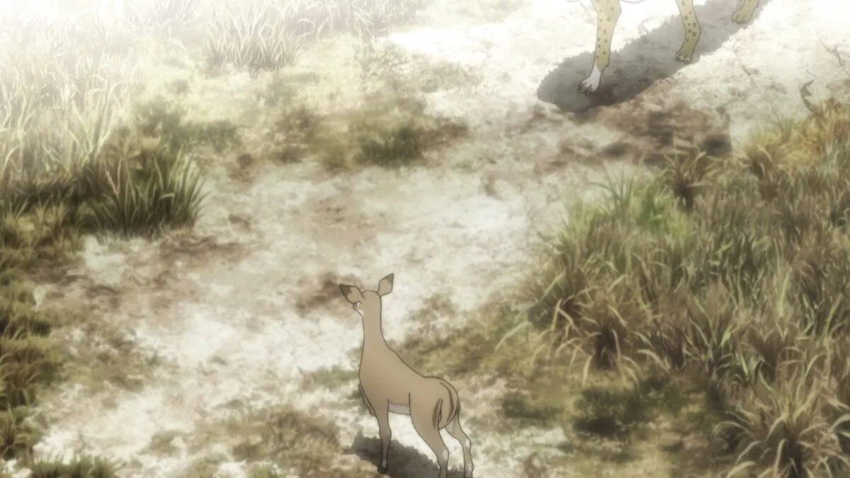 Фото галереи #8